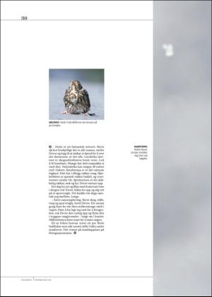 hallingdolen_magasin-20171216_000_00_00_030.pdf
