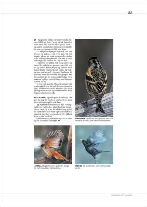 hallingdolen_magasin-20171216_000_00_00_033.pdf