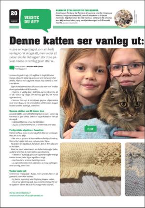 hallingdolen_magasin-20180109_000_00_00_020.pdf