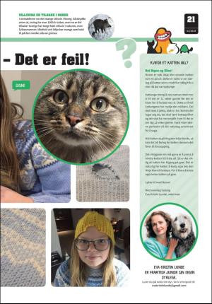 hallingdolen_magasin-20180109_000_00_00_021.pdf