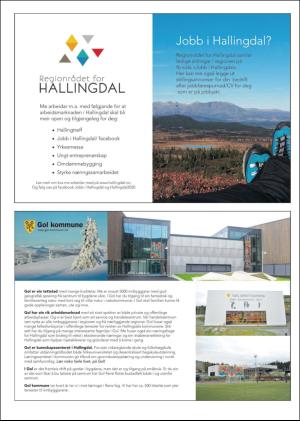 hallingdolen_magasin-20180217_000_00_00_024.pdf