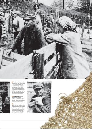hallingdolen_magasin-20180317_000_00_00_023.pdf