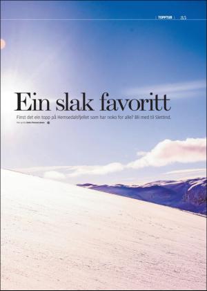 hallingdolen_magasin-20180317_000_00_00_035.pdf