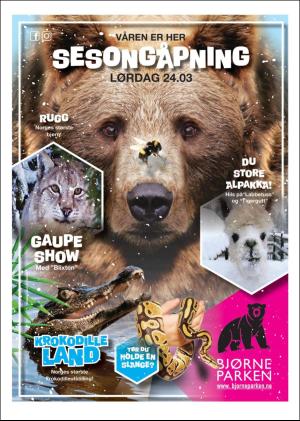 hallingdolen_magasin-20180317_000_00_00_079.pdf