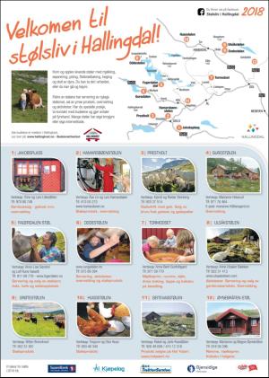 hallingdolen_magasin-20180616_000_00_00_002.pdf
