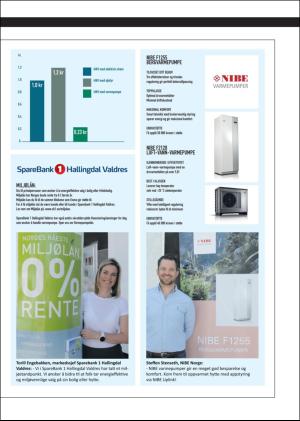 hallingdolen_magasin-20180616_000_00_00_013.pdf