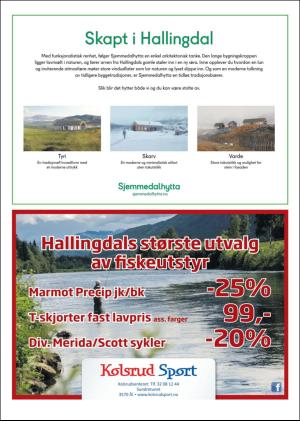 hallingdolen_magasin-20180616_000_00_00_023.pdf