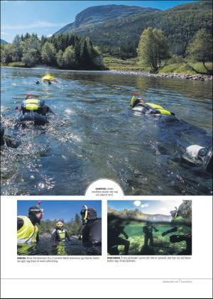 hallingdolen_magasin-20180616_000_00_00_033.pdf
