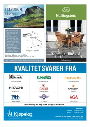 hallingdolen_magasin-20180616_000_00_00_064.pdf
