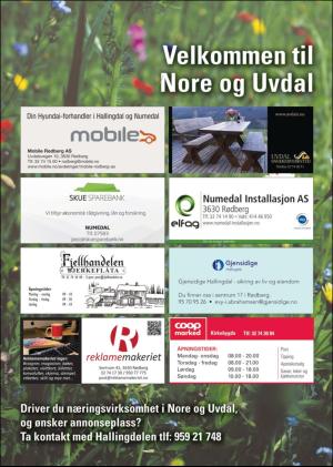 hallingdolen_magasin-20180616_000_00_00_081.pdf