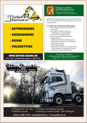 hallingdolen_magasin-20181110_000_00_00_030.pdf