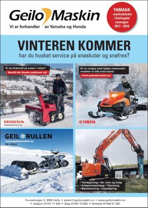 hallingdolen_magasin-20181110_000_00_00_038.pdf