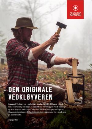 hallingdolen_magasin-20181215_000_00_00_044.pdf