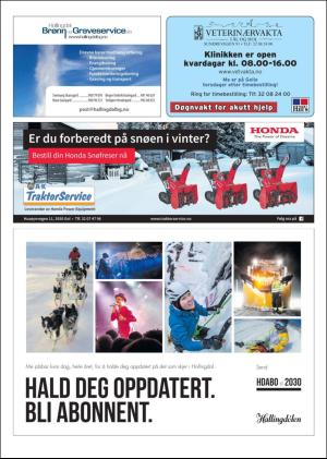 hallingdolen_magasin-20181215_000_00_00_060.pdf