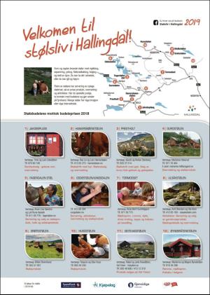 hallingdolen_magasin-20190615_000_00_00_002.pdf