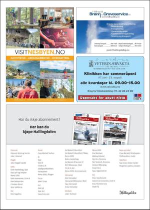 hallingdolen_magasin-20190615_000_00_00_010.pdf