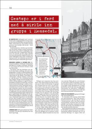 hallingdolen_magasin-20190615_000_00_00_014.pdf