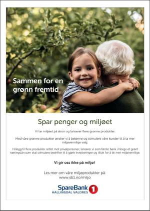 hallingdolen_magasin-20190615_000_00_00_030.pdf