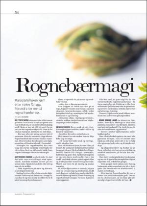 hallingdolen_magasin-20190615_000_00_00_054.pdf
