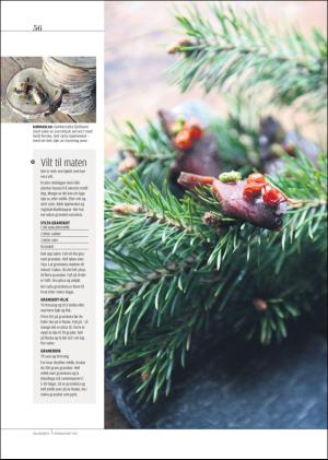 hallingdolen_magasin-20190615_000_00_00_056.pdf