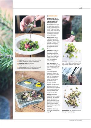 hallingdolen_magasin-20190615_000_00_00_057.pdf
