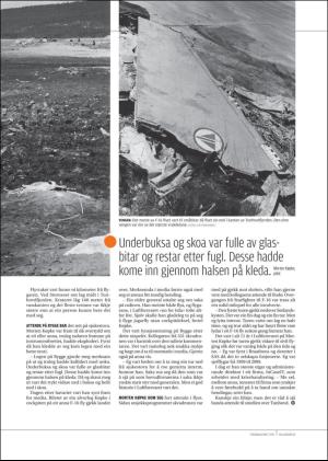 hallingdolen_magasin-20190615_000_00_00_071.pdf