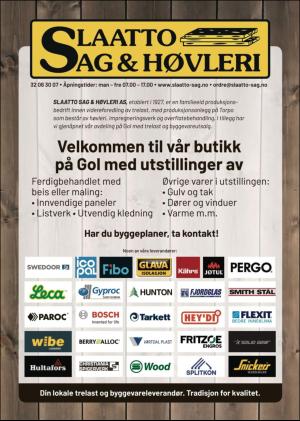 hallingdolen_magasin-20190615_000_00_00_091.pdf