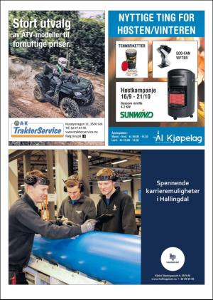 hallingdolen_magasin-20190921_000_00_00_041.pdf