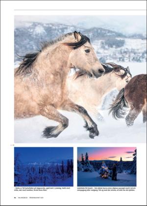 hallingdolen_magasin-20200328_000_00_00_054.pdf