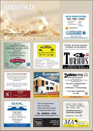 hallingdolen_magasin-20200328_000_00_00_064.pdf