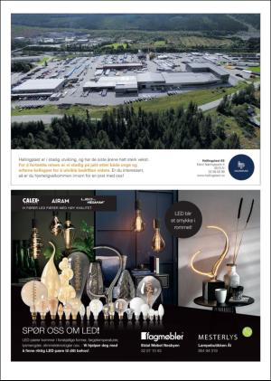 hallingdolen_magasin-20200919_000_00_00_027.pdf