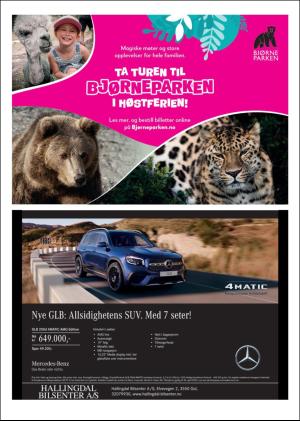 hallingdolen_magasin-20200919_000_00_00_042.pdf