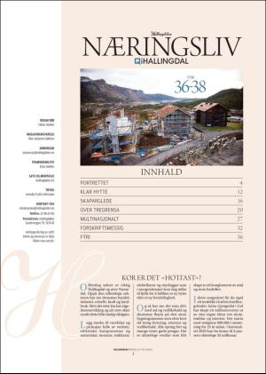 hallingdolen_magasin-20201107_000_00_00_003.pdf