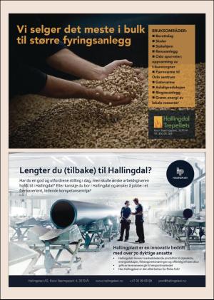 hallingdolen_magasin-20201107_000_00_00_008.pdf