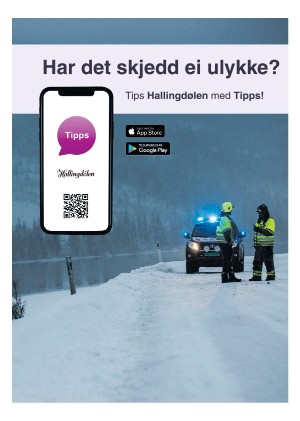 hallingdolen_magasin-20201128_000_00_00_023.pdf