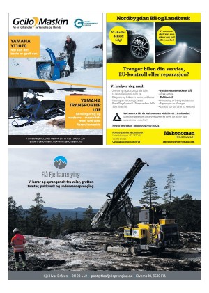 hallingdolen_magasin-20210227_000_00_00_009.pdf