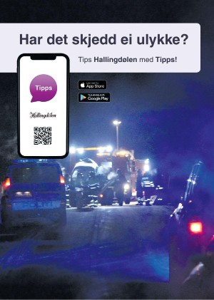 hallingdolen_magasin-20210227_000_00_00_018.pdf