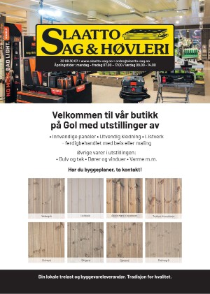 hallingdolen_magasin-20210320_000_00_00_002.pdf