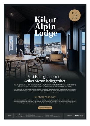 hallingdolen_magasin-20210320_000_00_00_009.pdf