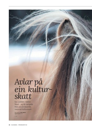 hallingdolen_magasin-20210320_000_00_00_060.pdf