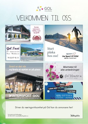 hallingdolen_magasin-20210320_000_00_00_067.pdf