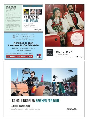 hallingdolen_magasin-20210320_000_00_00_070.pdf