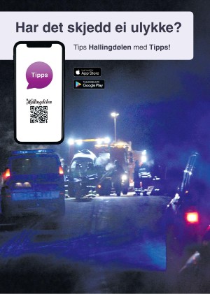 hallingdolen_magasin-20210320_000_00_00_078.pdf