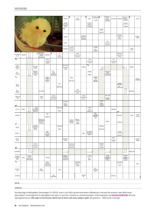hallingdolen_magasin-20210320_000_00_00_082.pdf