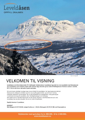 hallingdolen_magasin-20210320_000_00_00_083.pdf