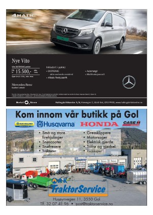 hallingdolen_magasin-20210522_000_00_00_010.pdf