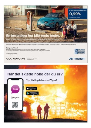 hallingdolen_magasin-20210522_000_00_00_014.pdf