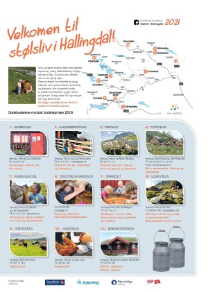 hallingdolen_magasin-20210612_000_00_00_002.pdf