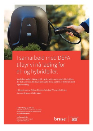 hallingdolen_magasin-20210612_000_00_00_018.pdf