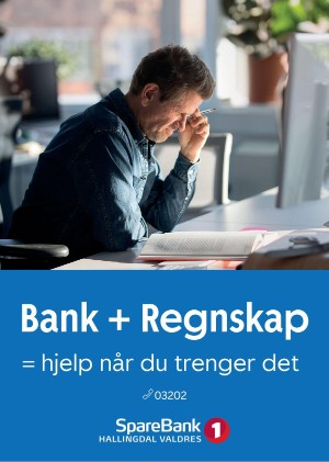 hallingdolen_magasin-20210612_000_00_00_028.pdf